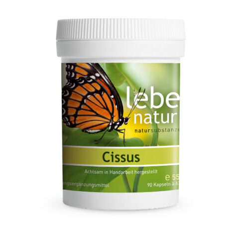 Lebe Natur Cissus 90er