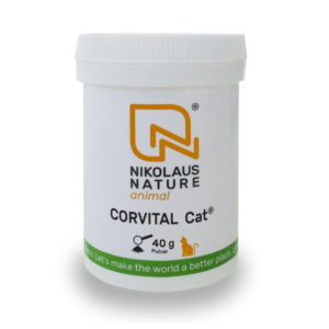 Nikolaus Nature animal Corvital Cat
