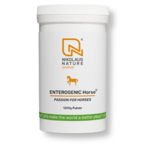 Nikolaus Nature animal Enterogenic Horse