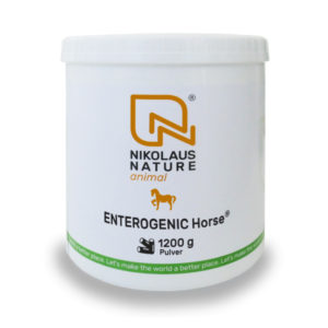Nikolaus Nature animal Enterogenic Horse