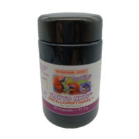 Robert Franz Natto NKCP
