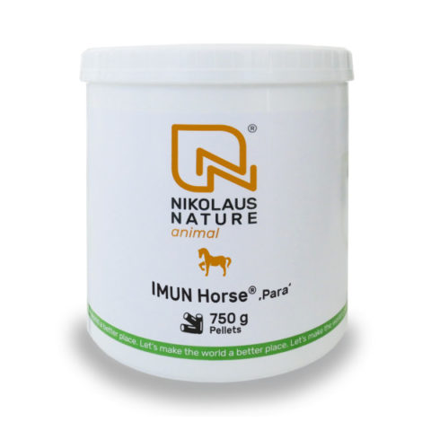 Nikolaus Nature Animal IMUN Horse Para